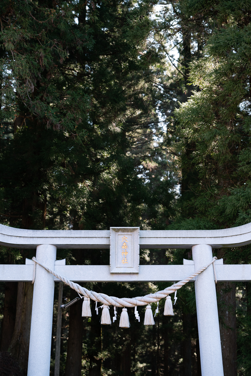 穴森神社 ビーベップ